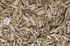 biomass boilers Egglesburn